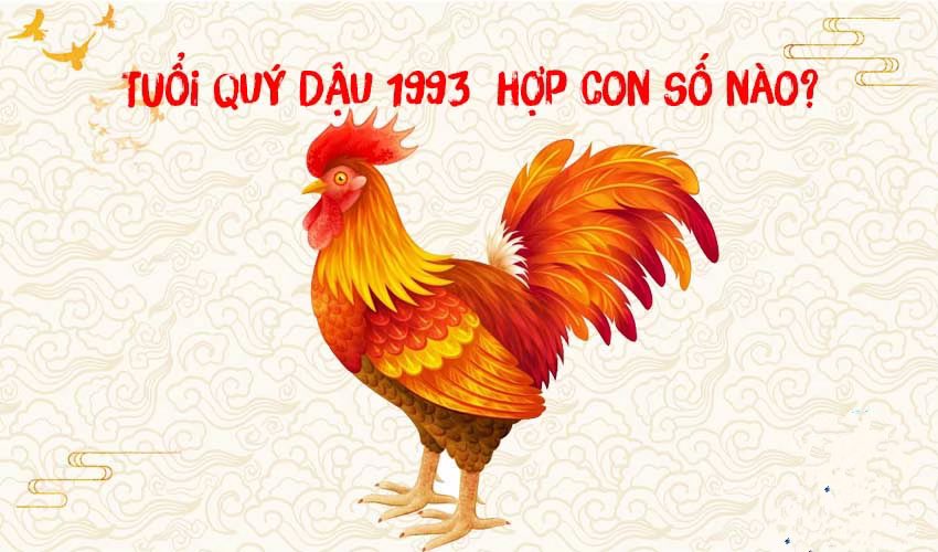 Sinh năm 1993 mệnh gì? Hợp xây nhà hướng nào? 8 Sinh năm 1993 hợp với con số nào.