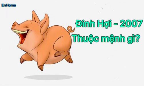 2007 là năm con gì? Xây nhà hợp hướng nào? 9 Đinh Hợi năm 2007 thuộc mệnh gì?