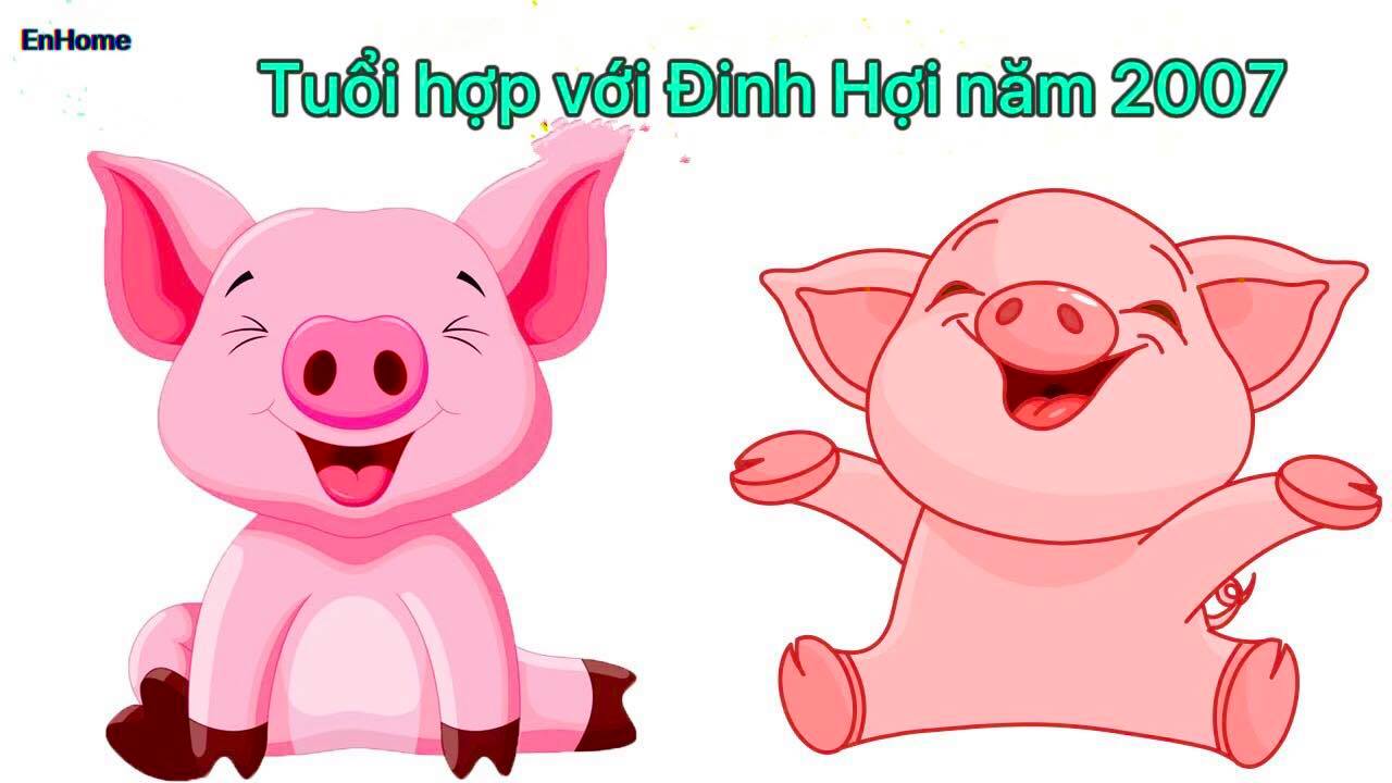 2007 là năm con gì? Xây nhà hợp hướng nào? 14 Tuổi hợp với Đinh Hợi năm 2007.