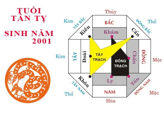 Tuổi tỵ 2001 hợp màu gì? Hợp với tuổi nào và hướng nào? 7 Tuổi tỵ 2001 hợp hướng nào.