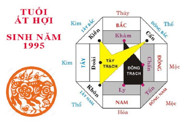 1995 là tuổi gì