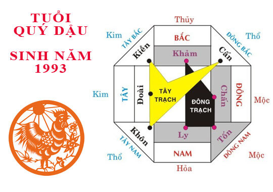 1993 mệnh gì? Nam nữ 1993 hợp màu gì? Hợp người tuổi nào? 15 Tìm hiểu phong thủy hợp với người sinh năm 1993 mệnh gì?