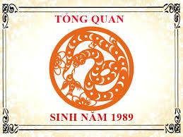 Người sinh năm 1989 mệnh gì? Hợp làm nhà hướng nào? 5 Tổng quan về tuổi tỵ