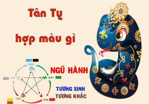 Tuổi tỵ 2001 hợp màu gì? Hợp với tuổi nào và hướng nào? 6 Tuổi tỵ 2001 hợp màu gì.