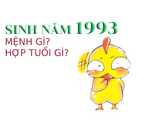 Năm 1993 là năm con gì? Xây nhà hợp với hướng nào? 8 Sinh năm 1993 mệnh gì.