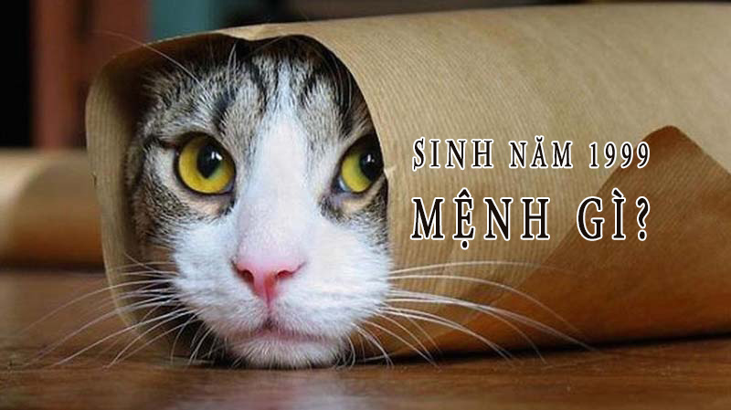 1999 tuổi con gì? Hợp với tuổi nào và màu gì ? 7 Sinh Năm 1999 thuộc mệnh gì.