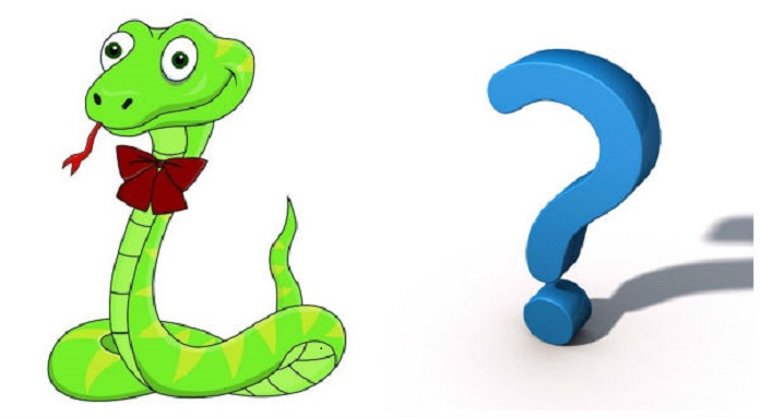 Người sinh năm 1989 mệnh gì? Hợp làm nhà hướng nào? 6 Tuổi tỵ