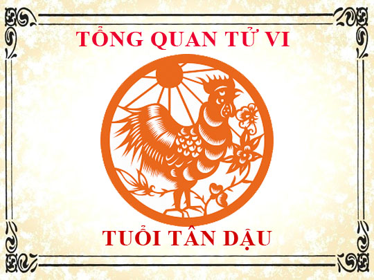1981 mệnh gì? Tuổi gì, hợp màu nào gì? 5 Tổng quan về tuổi 1981