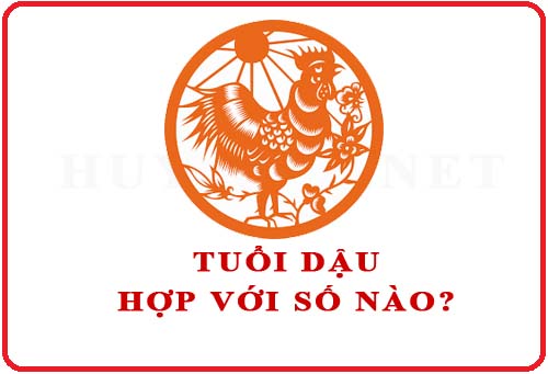 Năm 1993 là năm con gì? Xây nhà hợp với hướng nào? 12 Con số hợp với tuổi Dậu.