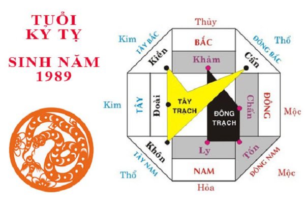 1989 tuổi gì? Mệnh gì? Hợp với hướng nào? 12 Hướng hợp với tuổi Kỷ Tỵ