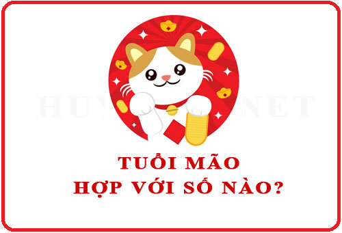 1999 tuổi con gì? Hợp với tuổi nào và màu gì ? 10 Con số may mắn của tuổi Mão.