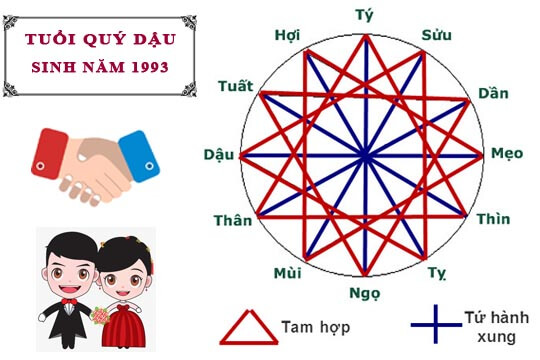 1993 mệnh gì? Nam nữ 1993 hợp màu gì? Hợp người tuổi nào? 14 Chọn tuổi hợp trong làm ăn, kết hôn sẽ mang lại nhiều may mắn cho Quý Dậu.