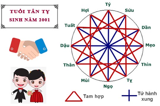Tuổi tỵ 2001 hợp màu gì? Hợp với tuổi nào và hướng nào? 9 Tuổi hợp với tuổi tỵ 2001