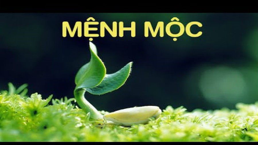 Năm 2019 mệnh gì? Thiết kế nội thất hợp tuổi Kỷ Hợi 9 2019 mệnh gì?