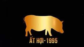 Sinh năm 1995 tuổi gì? Các hướng hợp phong thủy với bản mệnh. 5 1995 tuổi con gì?