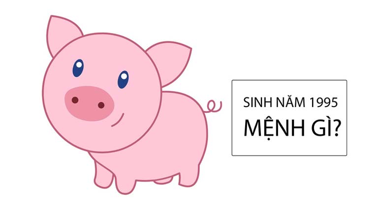 Sinh năm 1995 tuổi gì? Các hướng hợp phong thủy với bản mệnh. 6 Sinh năm 1995 tuổi gì? Mệnh gì?