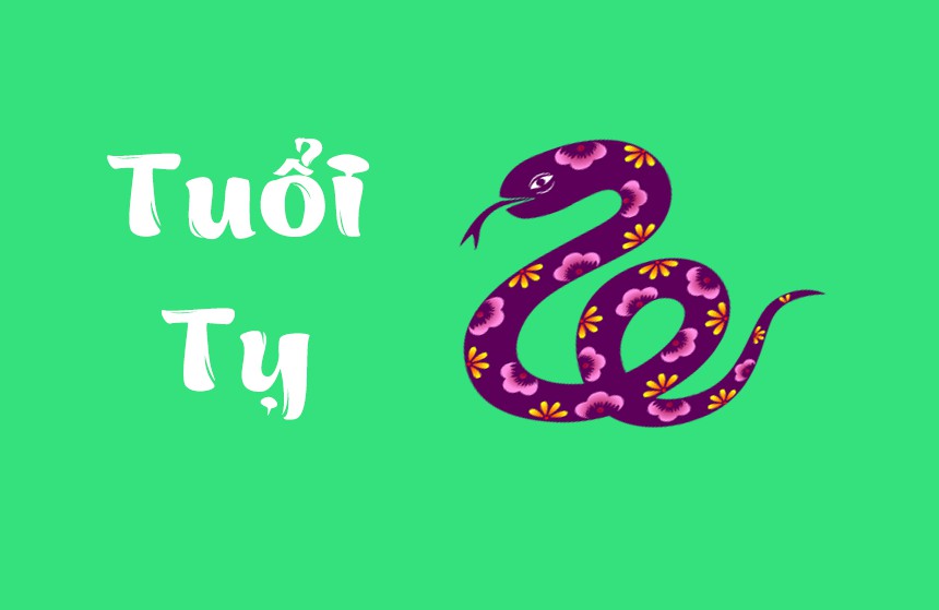 1989 hợp màu gì? Sinh năm 1989 xây nhà hướng hợp phong thủy? 11 Kỷ Tỵ 1989