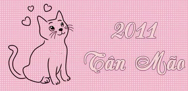 2011 Mệnh gì? Bố trí nội thất hợp phong thuỷ cho tuổi Tân Mão 6 2011 menh gi