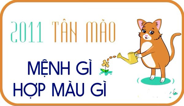 2011 Mệnh gì? Bố trí nội thất hợp phong thuỷ cho tuổi Tân Mão 7 2011 menh gi