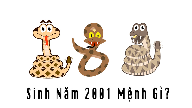 Người sinh năm 2001 mệnh gì? Hướng nhà hợp với tuổi Tân Tỵ 2001 7 Sinh năm 2001 tuổi gì, mệnh gì?