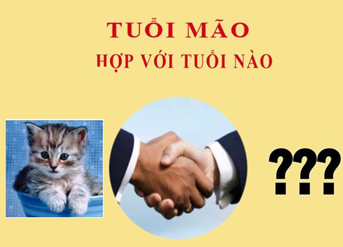 2011 Mệnh gì? Bố trí nội thất hợp phong thuỷ cho tuổi Tân Mão 8 2011 menh gi