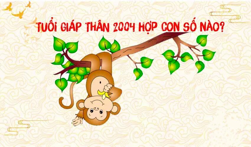 2004 thuộc mệnh gì? Xây nhà hợp với màu nào? Hướng nào? 12 sinh nam 2004