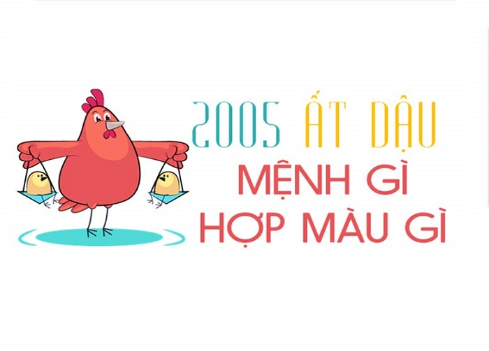 Năm 2005 là năm con gì? Sinh năm 2005 xây nhà vào năm 2023 có tốt không? 8 nam 2005 la nam con gi