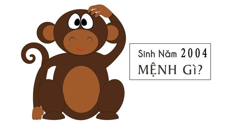 2004 thuộc mệnh gì? Xây nhà hợp với màu nào? Hướng nào? 8 sinh nam 2004