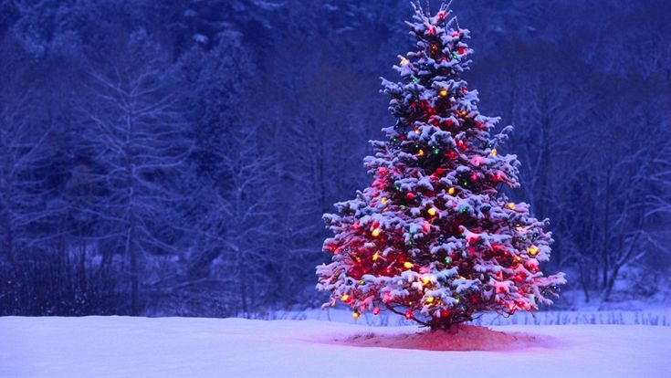 Gợi ý trang trí cây thông Noel đẹp độc lạ mùa giáng sinh tới gần