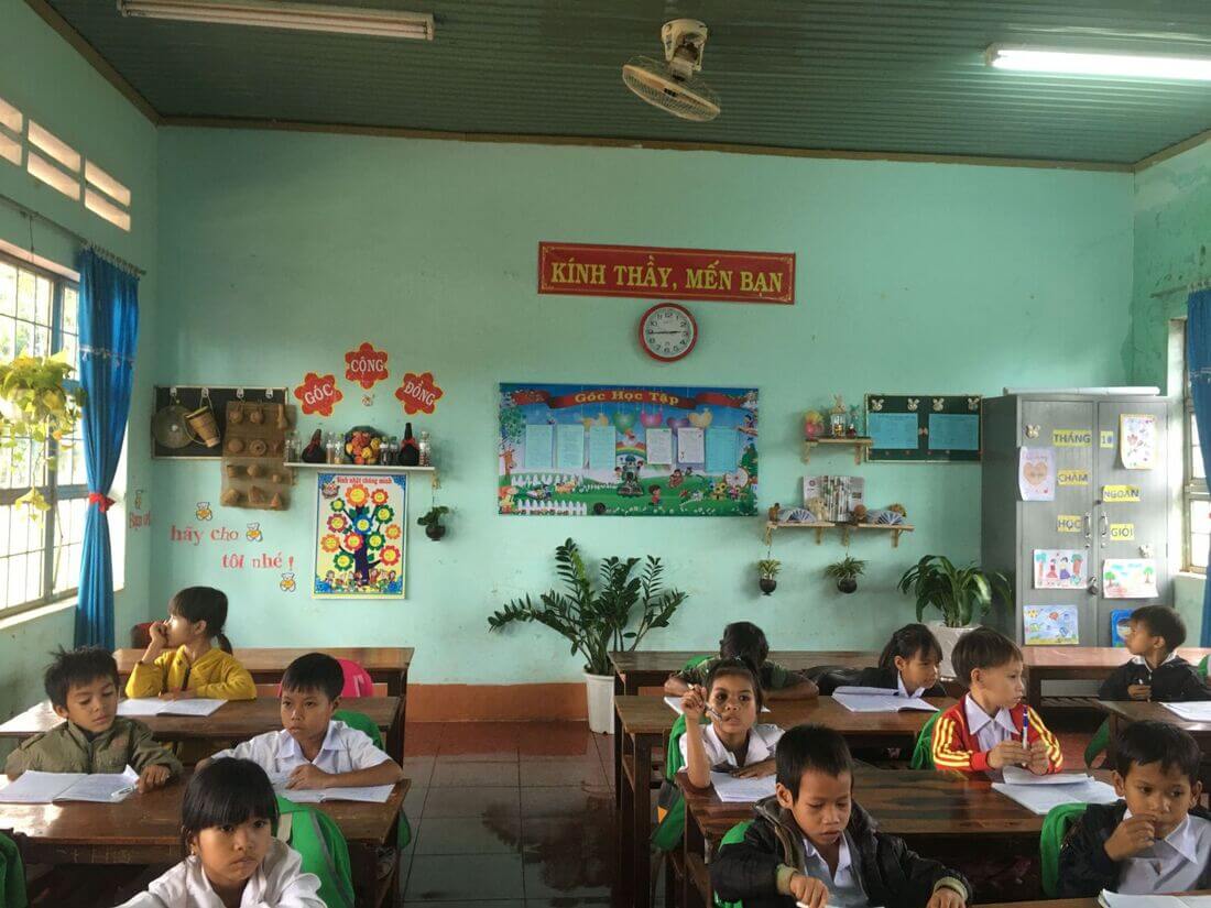 Trang trí lớp học tiểu học với cây xanh
