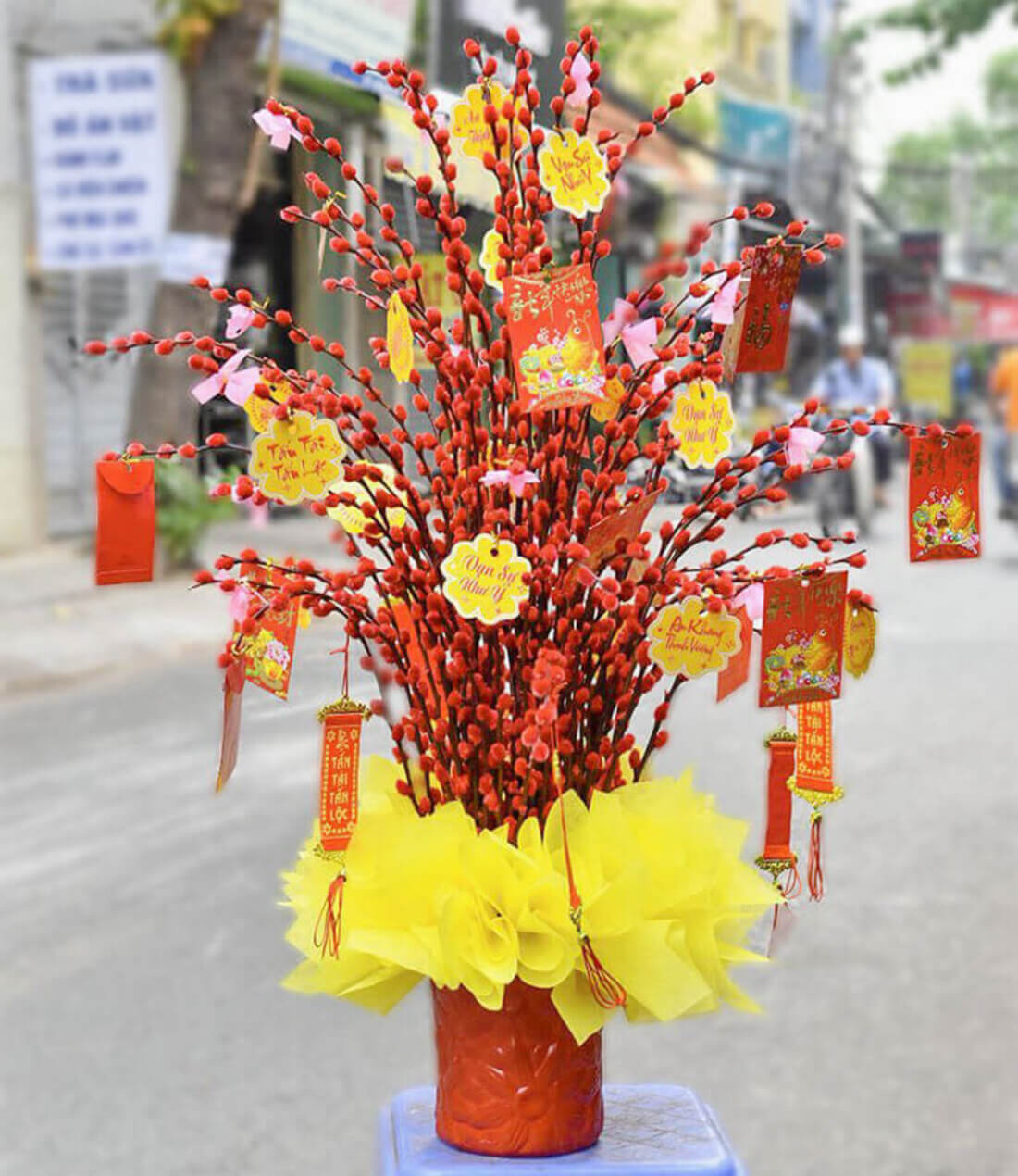 Chiêm ngưỡng 30 loại hoa Tết, cây Tết đẹp ngất ngây, rước tài lộc 37 hoa tet
