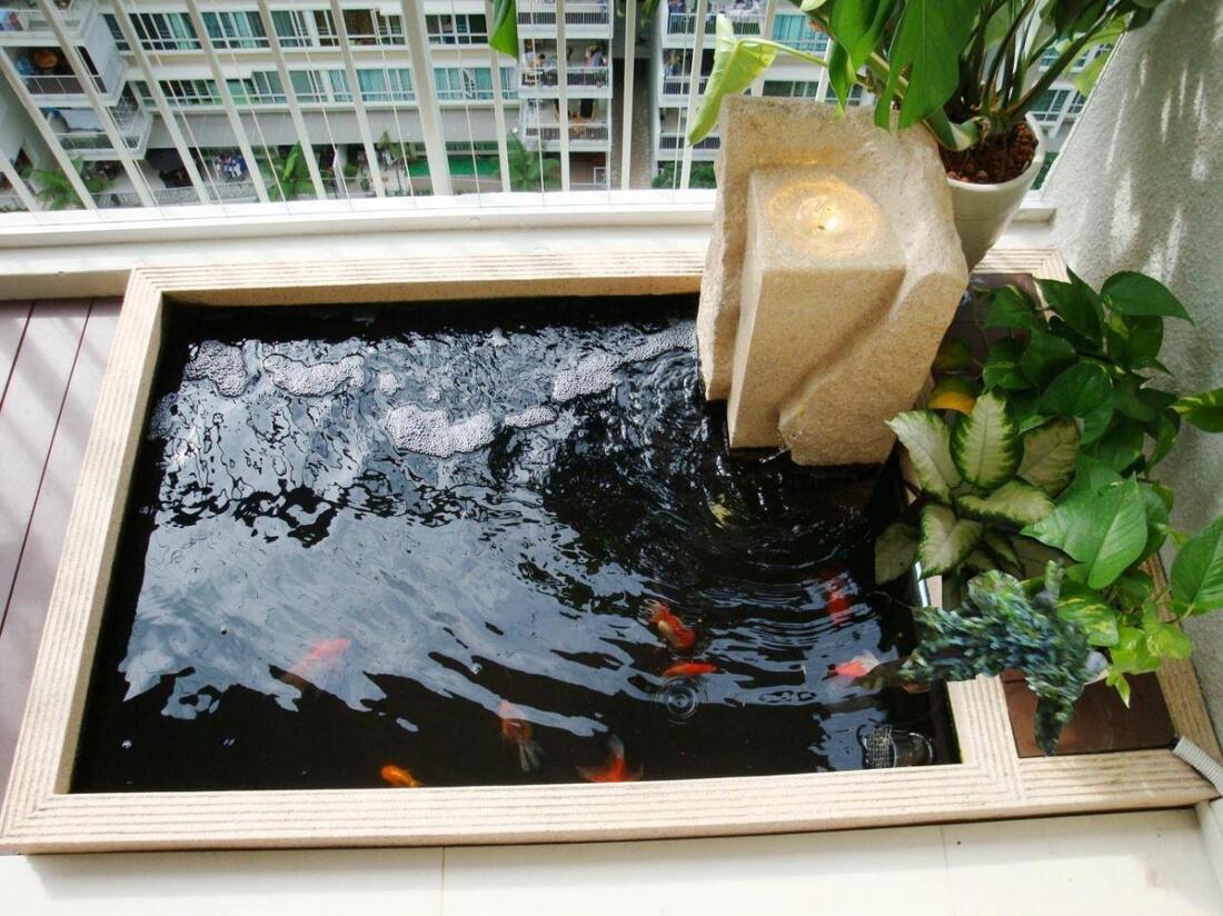 BST 99+ mẫu hồ cá Koi đẹp hút hồn, ai nhìn cũng mê 78 ho ca koi dep