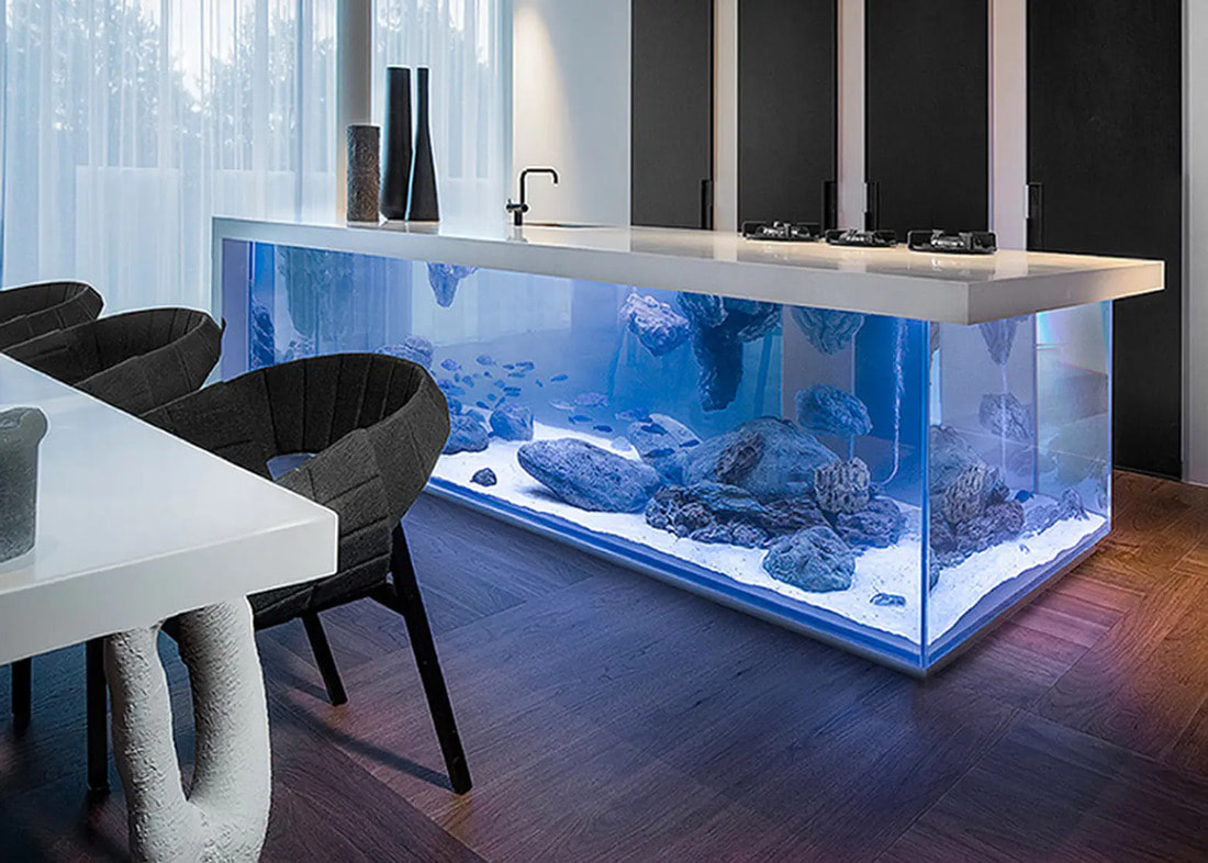 Thiết kế bể cá thủy sinh đẹp bằng kính.